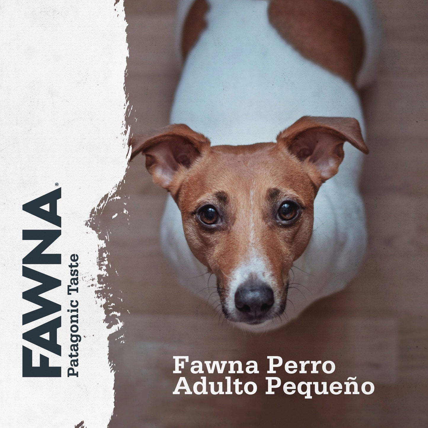 FAWNA PERRO ADULT SMALL