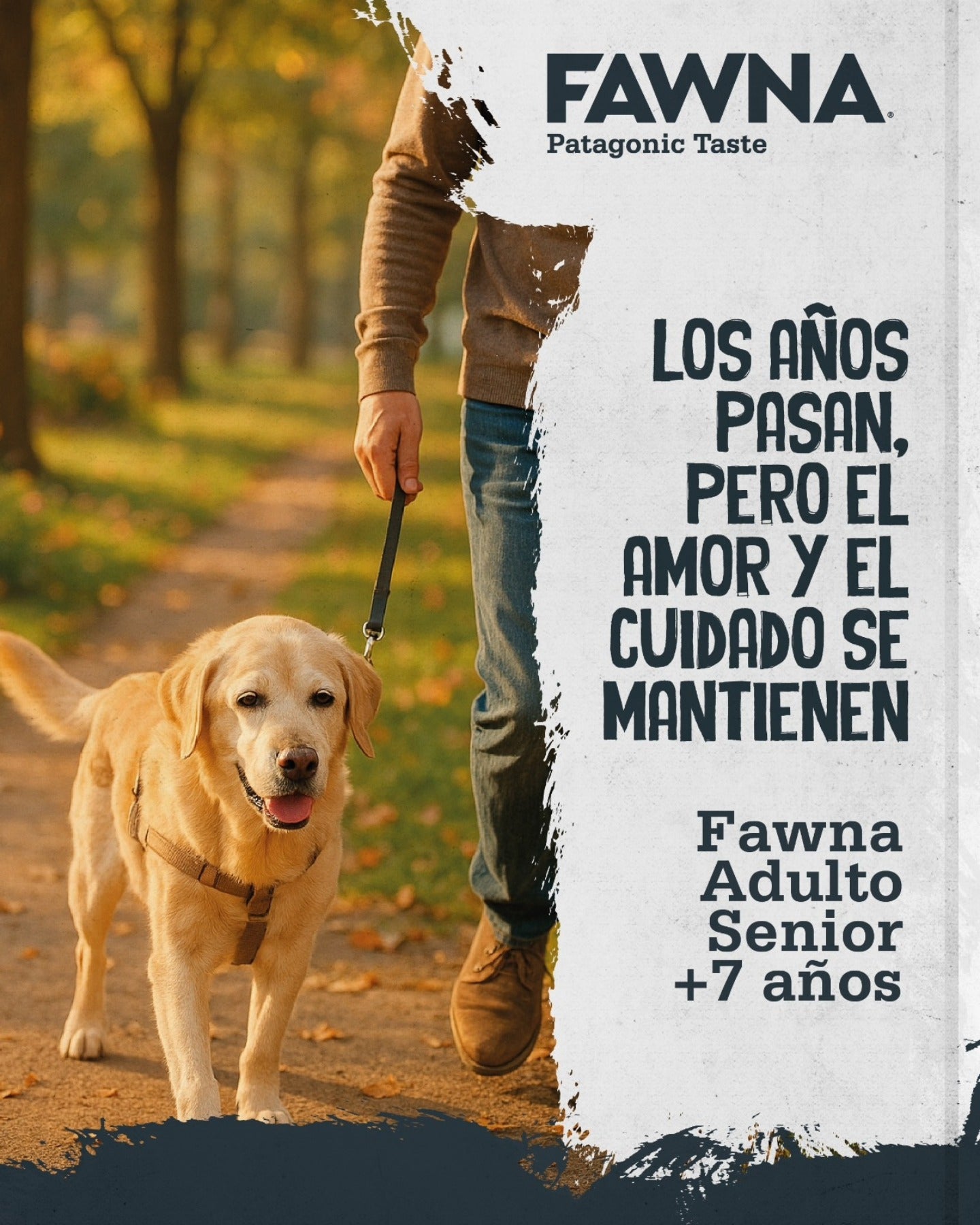 FAWNA ADULTO SENIOR PERRO