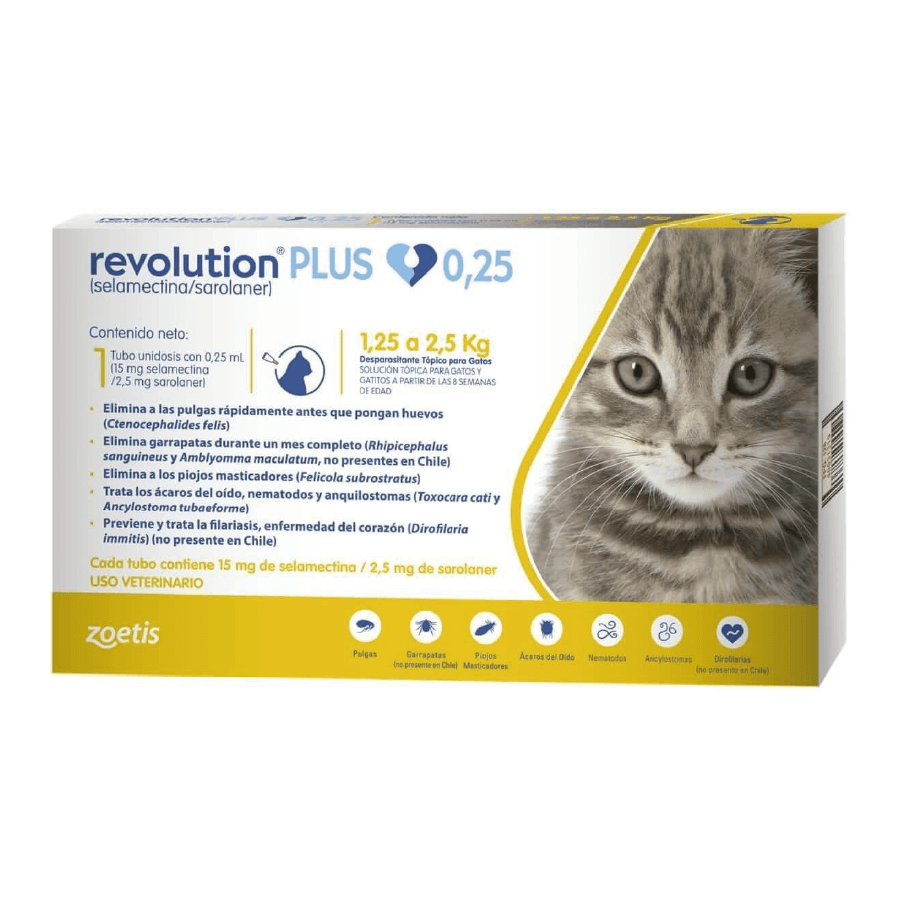 REVOLUTION GATO PLUS 1,25 a 2,5 Kg