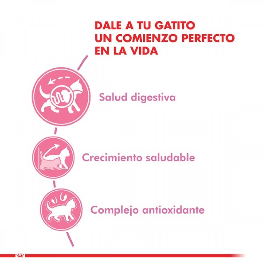 ROYAL CANIN KITTEN