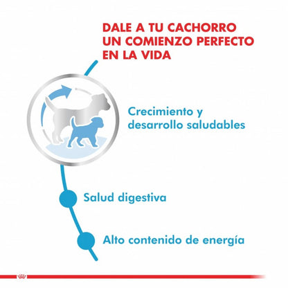 ROYAL CANIN MINI PUPPY