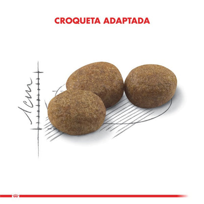 ROYAL CANIN FELINE ADULT STERILISED