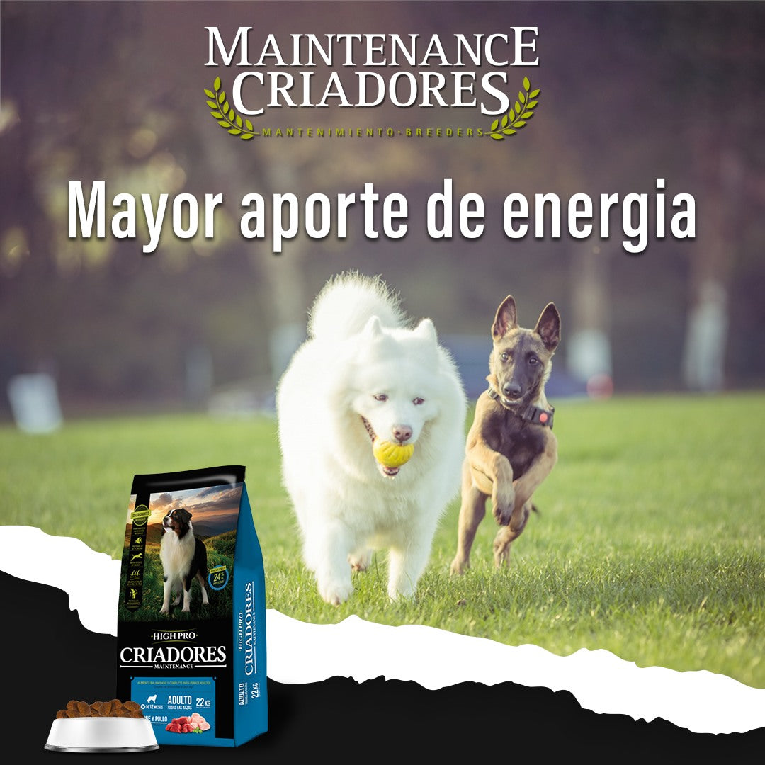 CRIADORES HIGH PRO 22 kg