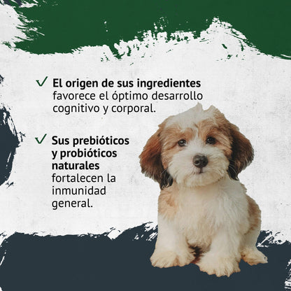 FAWNA DOG PUPPY SMALL BREED