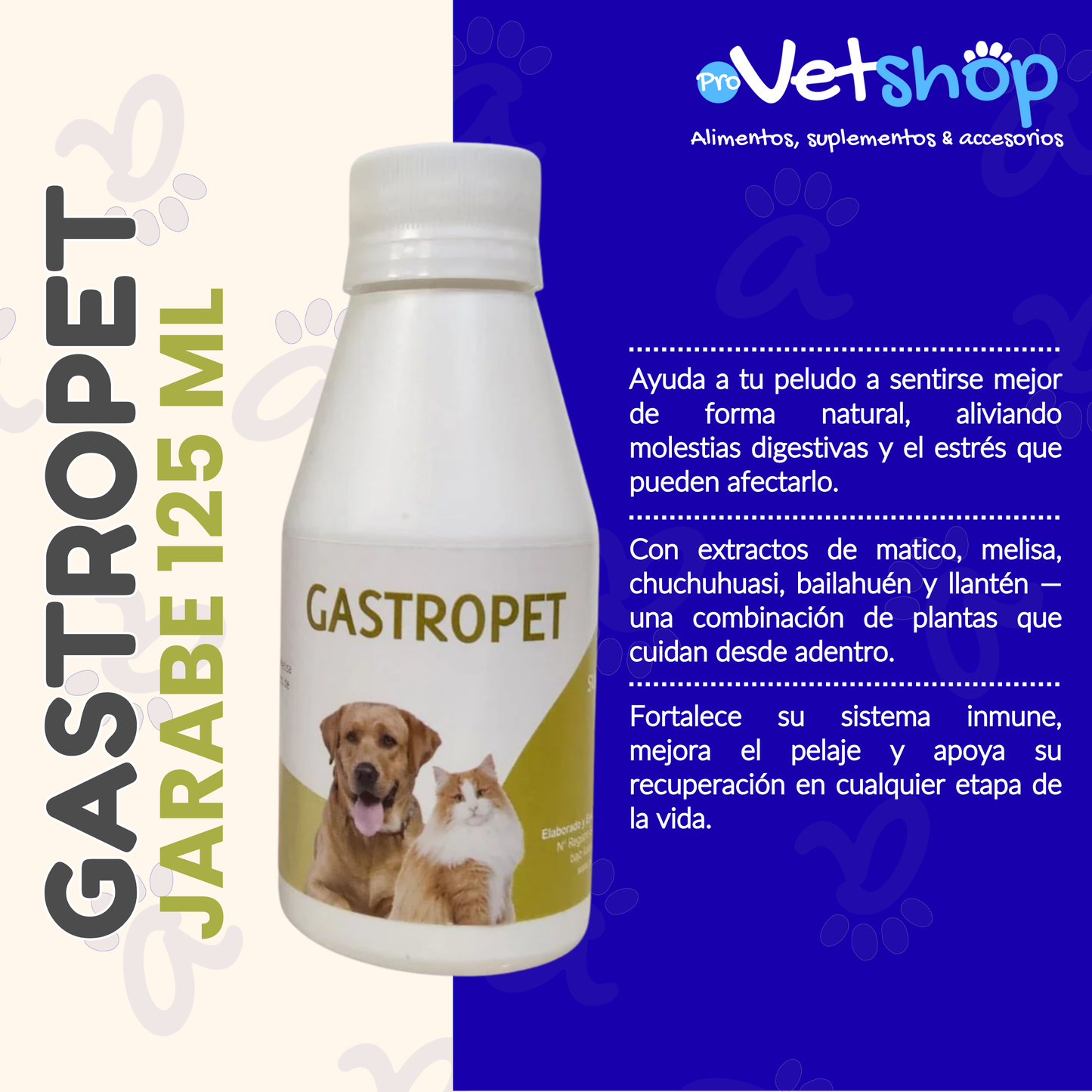 GASTROPET: Jarabe Natural para el Cuidado Gástrico de Mascotas