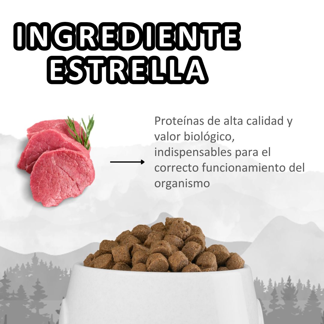 Ingredientes principales de MOON Adulto: carne fresca de vacuno, avena integral, maqui, cúrcuma y romero naturales.