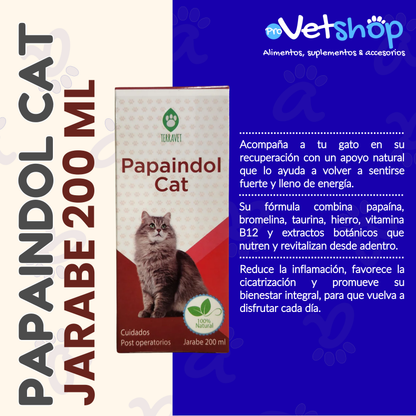 PAPAINDOL CAT JARABE: Recuperación Postoperatoria para Mascotas
