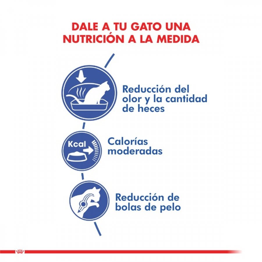 ROYAL CANIN FELINE INDOOR