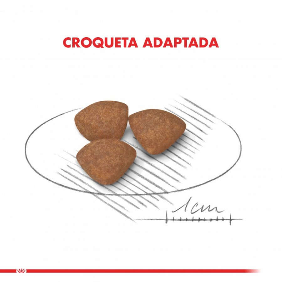 ROYAL CANIN MINI PUPPY