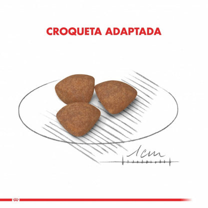 ROYAL CANIN MINI PUPPY