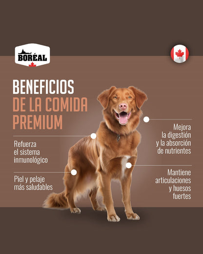 BOREAL PERRO ORIGINAL SALMON