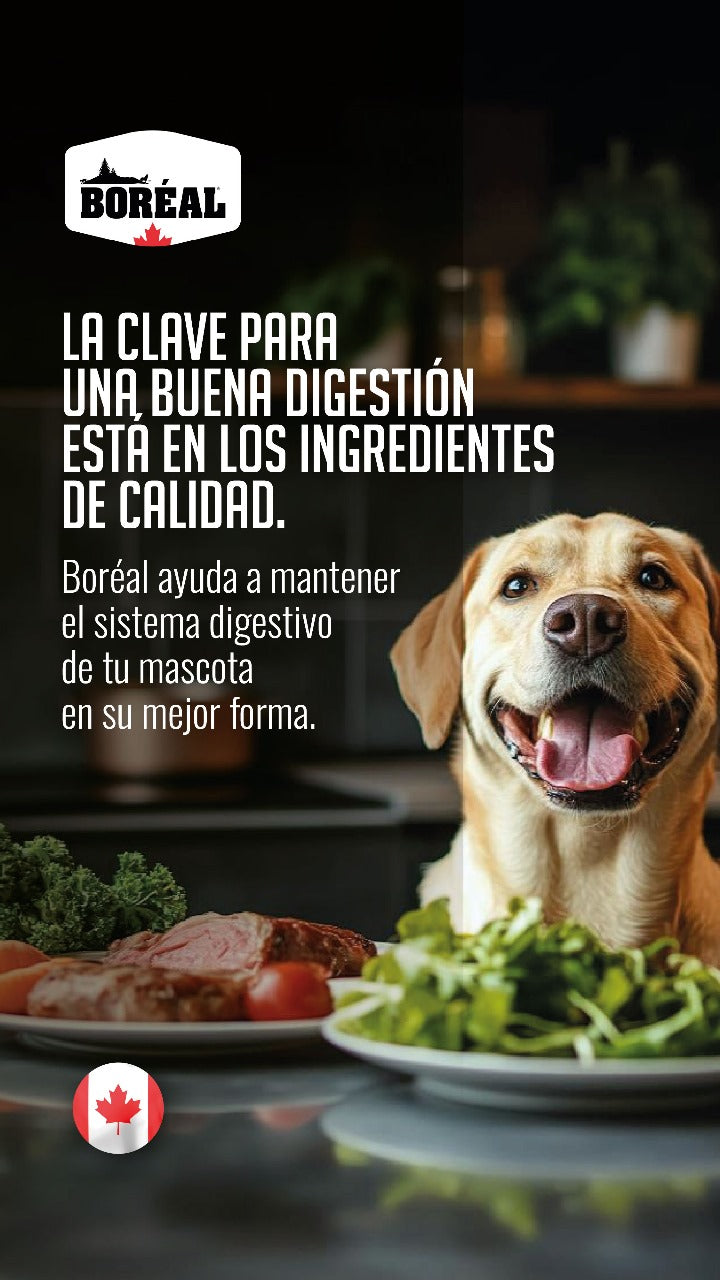 BOREAL PERRO ORIGINAL SALMON