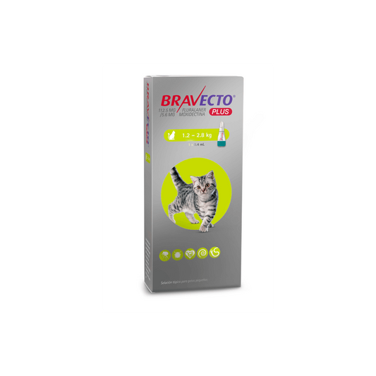 Bravecto Plus antiparasitario en pipeta para gatos pequeños de 1.2 a 2.8 kg.