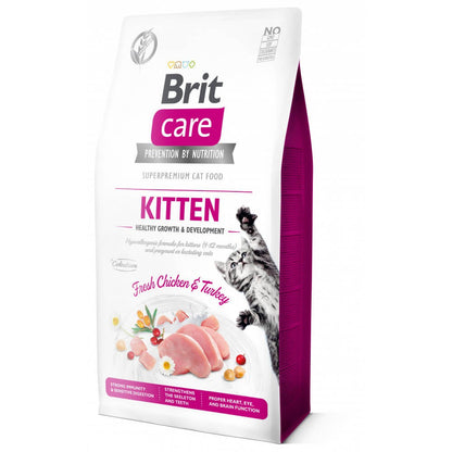 BRIT CARE KITTEN