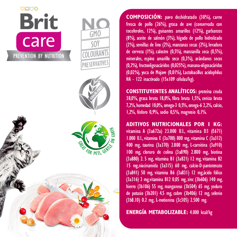BRIT CARE KITTEN