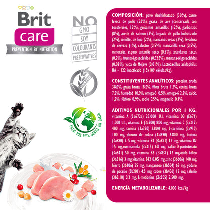 BRIT CARE KITTEN