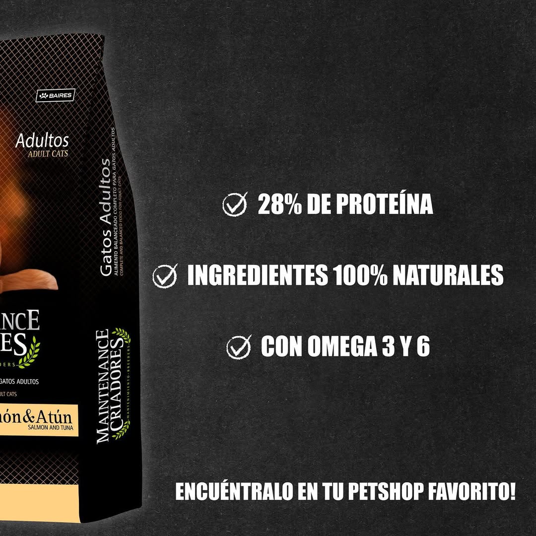 CRIADORES GATO ADULTO