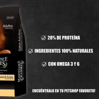 CRIADORES GATO ADULTO