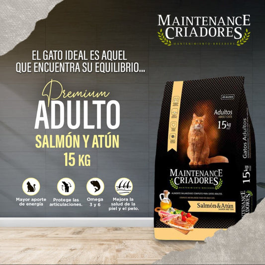 Gato adulto sano y vital alimentado con Maintenance Criadores rico en Omega 3.
