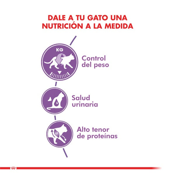 ROYAL CANIN FELINE ADULT STERILISED