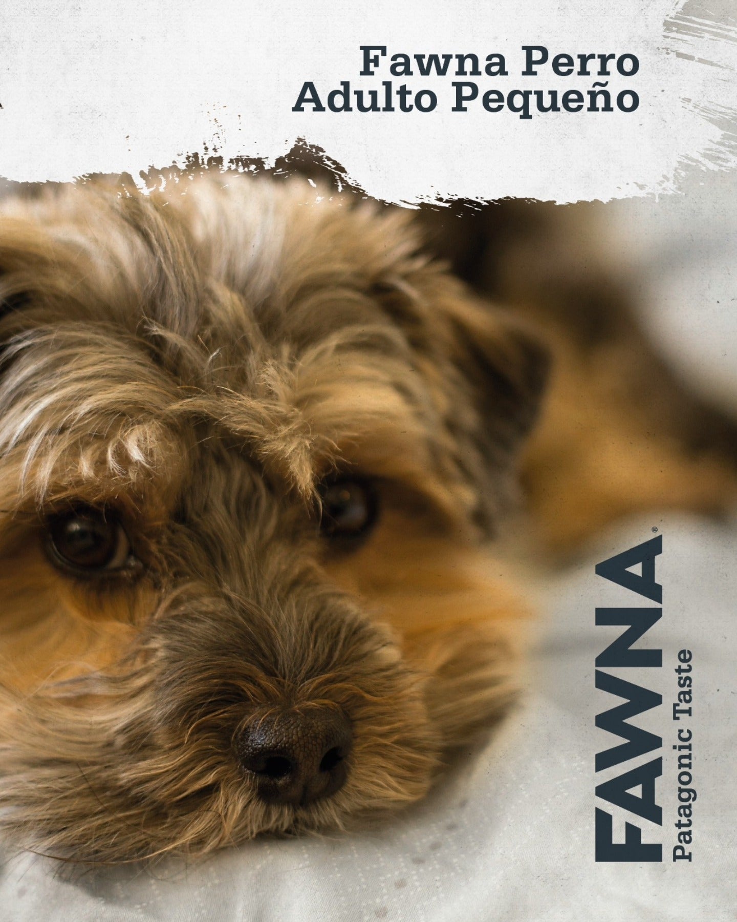 FAWNA PERRO ADULT SMALL