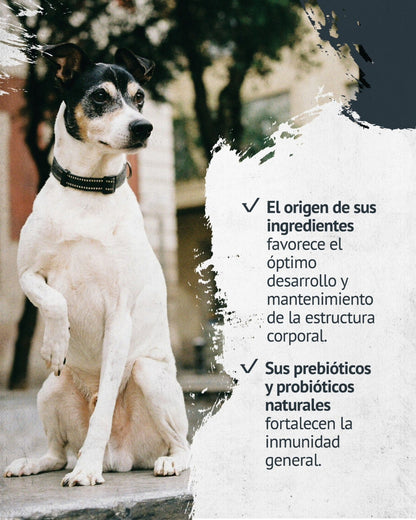 FAWNA PERRO ADULT SMALL
