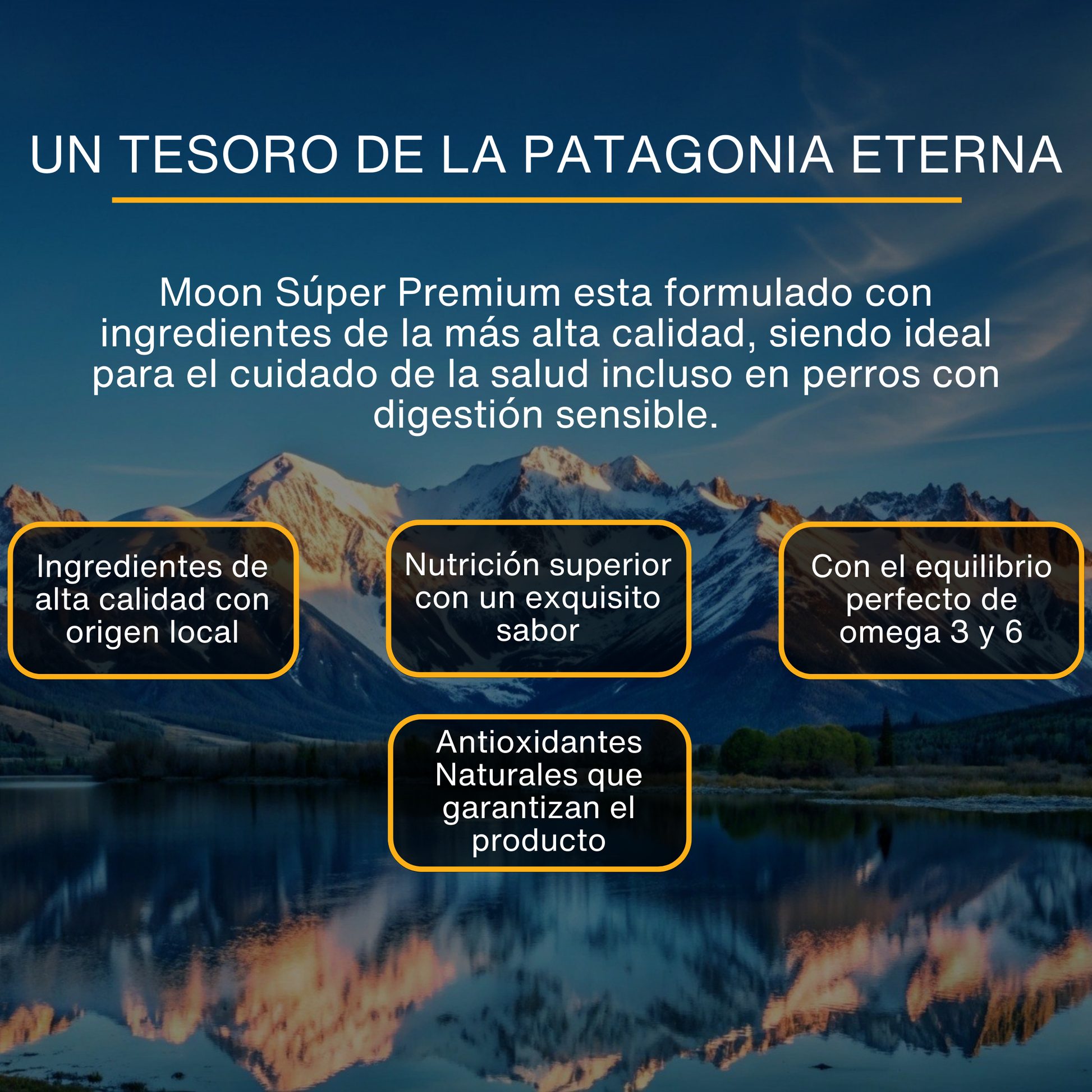 Composición nutricional MOON Salmón: proteínas, omega, probióticos